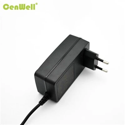 AB Fişi Duvar Güç Adaptörü 12V 24V 36V 48V 56V AC-DC